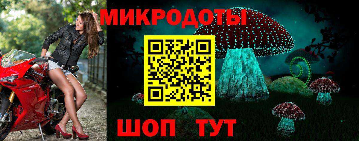 Кизилюрт  Галлюциногенные грибы Psilocybine cubensis  Вход с VPN 
